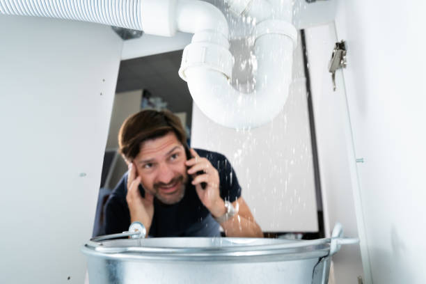 Best Plumbing Services Near Me  in Mazomanie, WI